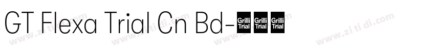 GT Flexa Trial Cn Bd字体转换